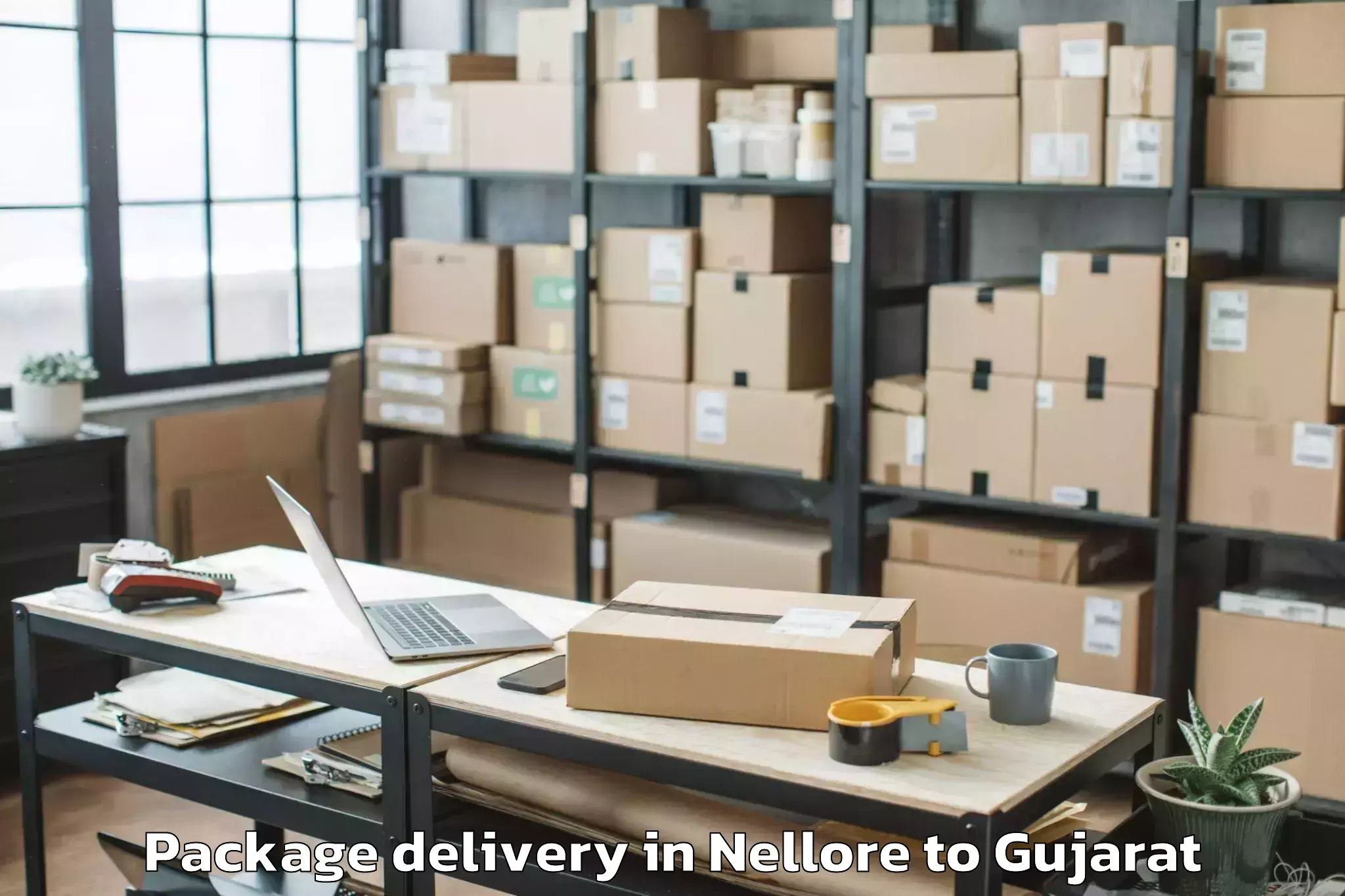 Book Nellore to Sabarmati University Ahmedabad Package Delivery Online